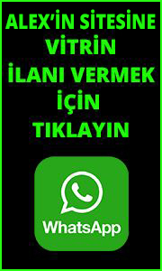 whatsappilan1
